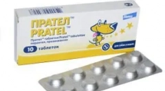Pratera za mačke: kako se nositi s parazitima u pet